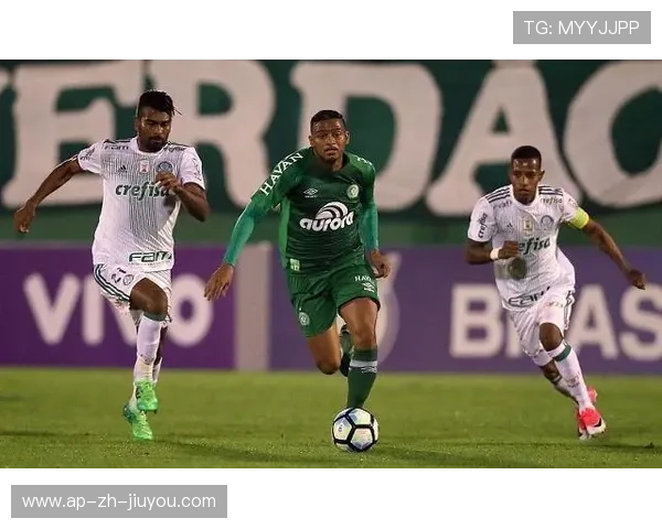 弗拉门戈反击效率稳定