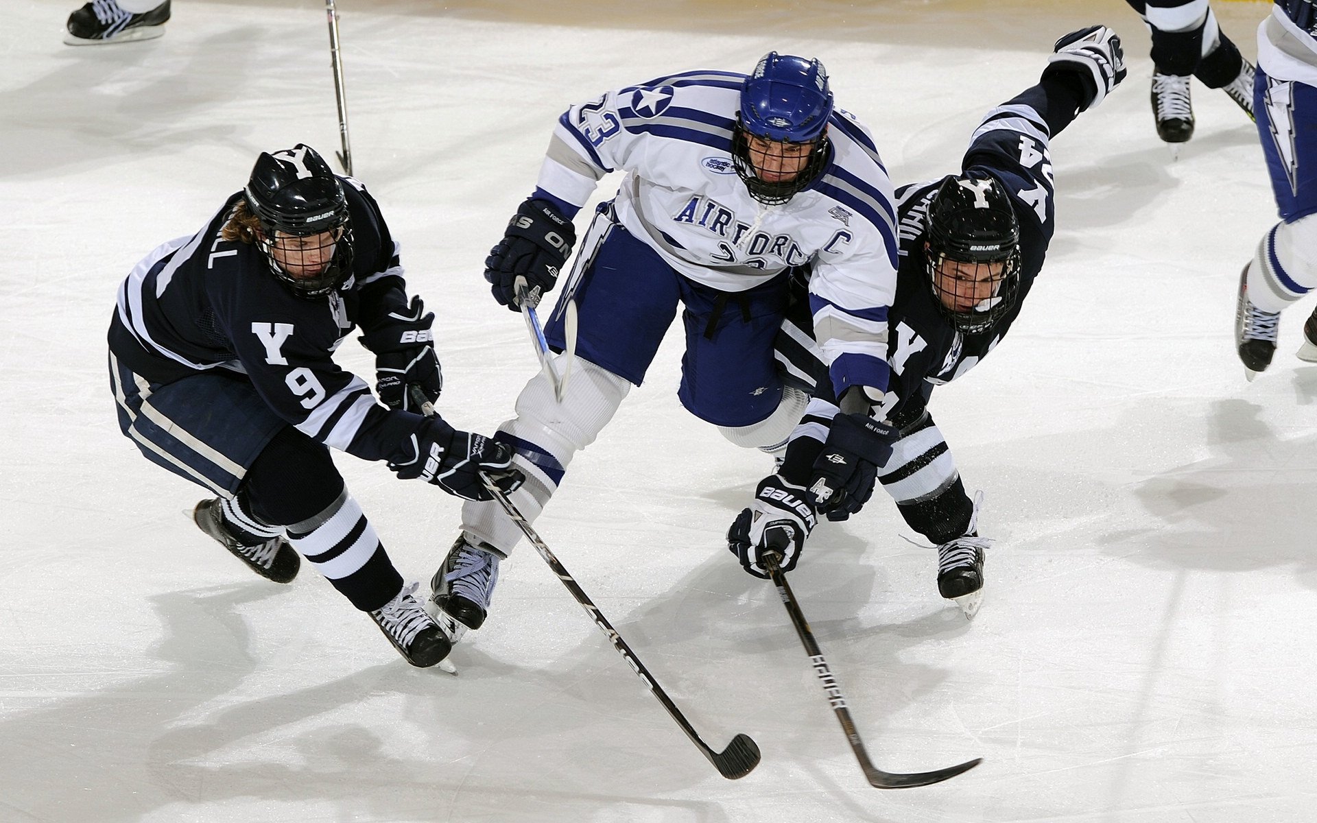 NBA球队教练组人员构成研究,nba球队的教练